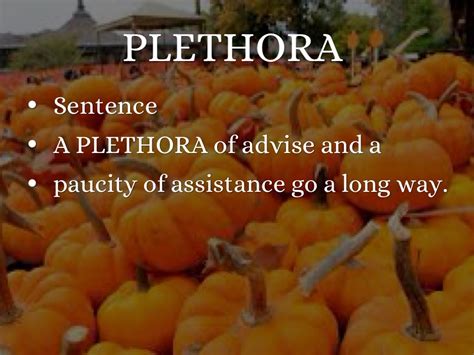 plethora in tagalog sentence|Examples of 'plethora' in a sentence .
